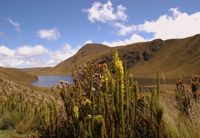 Laguna de Culebrillas